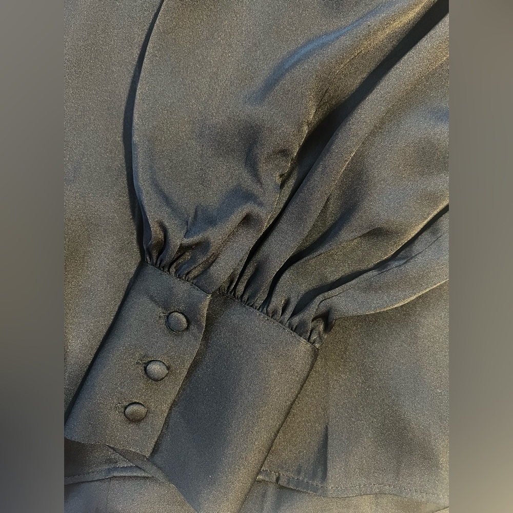 Anine Bing silk - Picture 10 of 12